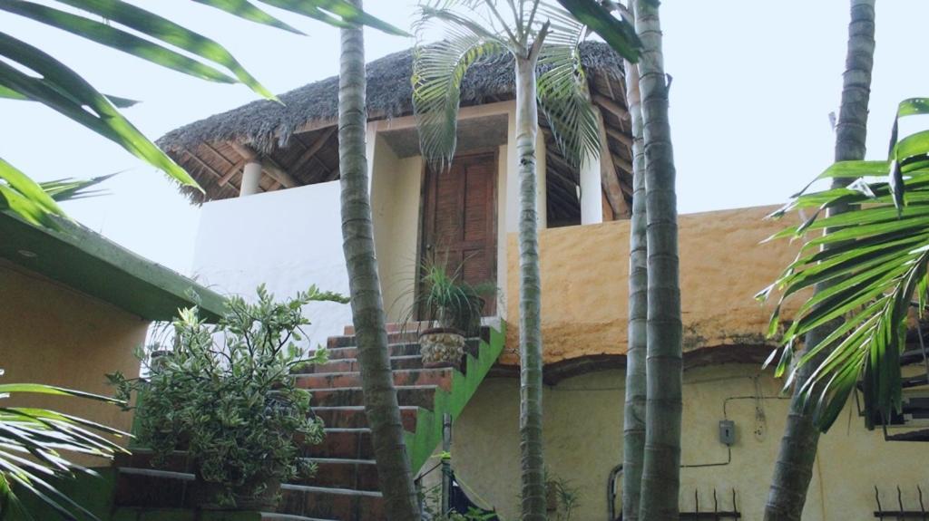 מלון סן פרנסיסקו Jardin San Pancho מראה חיצוני תמונה